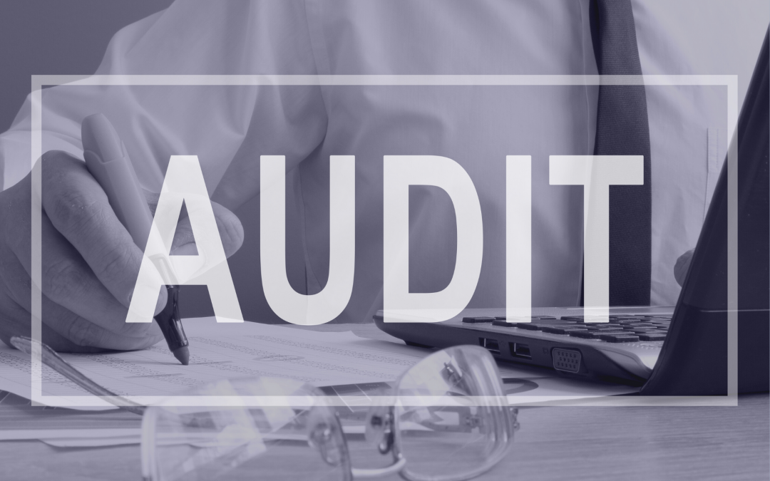 Perform a Brand Audit